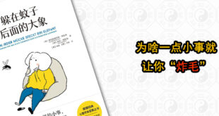 为啥一点小事就让你炸毛？易经智慧读《躲在蚊子后面的大象》